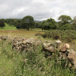 View of Keswick Countryside