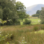 View of Keswick Countryside