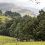 View of Keswick Countryside