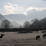 View of Keswick Countryside