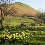 View of Catbells